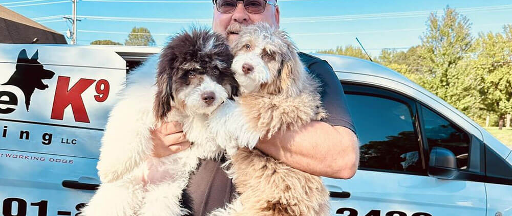 Ultimate K9 Dog Training